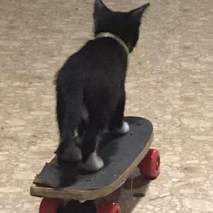 Meet your Posher, Olivia